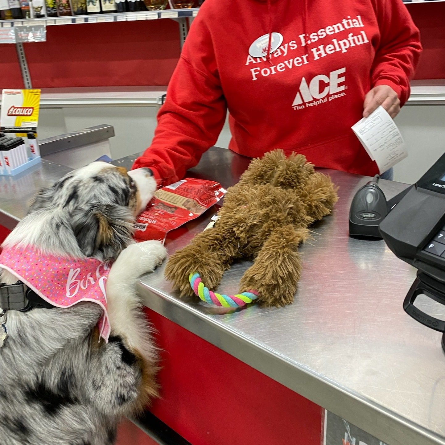 Dog treats at Buck Electric Ace Hardware