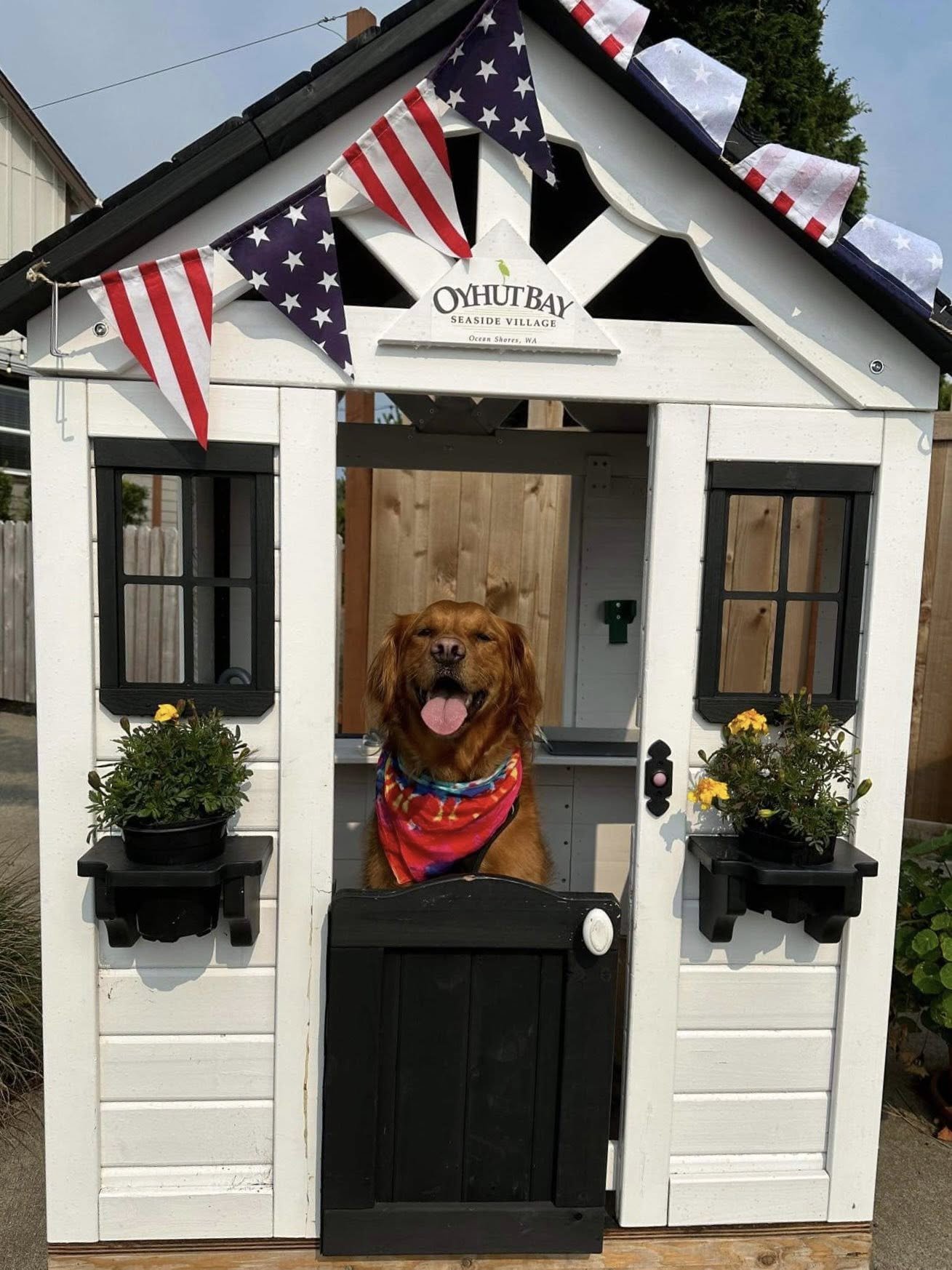 Oyhut Bay photo ops for pets and people alike